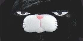 Grumpy Cats